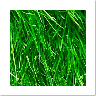 Grass print Posters and Art
